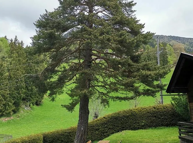 Waldheimat * Fresach